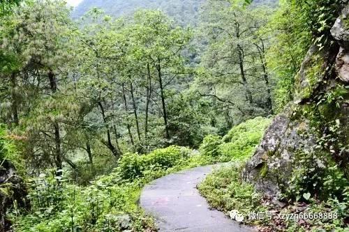 村里留有超过总土地面积百分之三十以上的机动地，不分给两千年以后新生儿，却承包给别人，请问怎么解决？游戏画面